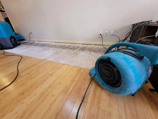 Professional Flood Damage Cleanup technician working in Byron, IL